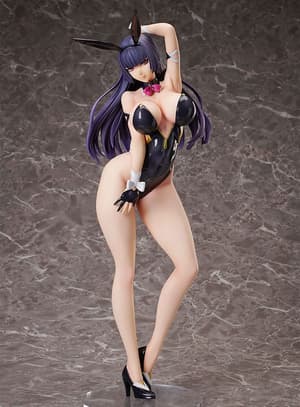 Tomoka Hinasawa - Bare Leg Bunny - Character's Selection - Native / BINDing (1)