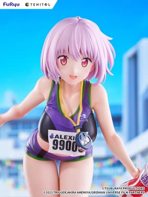 Akane Shinjo - Sports Wear - Tenitol Tall - Furyu - 13