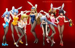 Charlotte Dunois - 1/4 - Bunny Version - 2