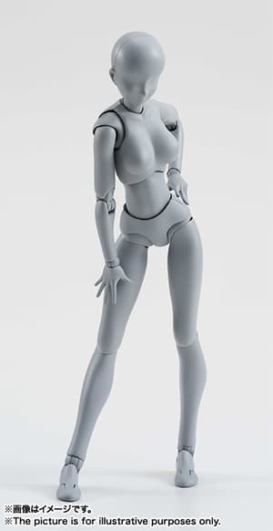 Body-chan DX Set Gray Color Ver. - 8