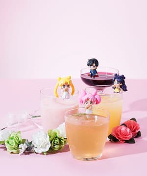 Princess Serenity - Sailor Moon Night and Day Ochatomo - 3