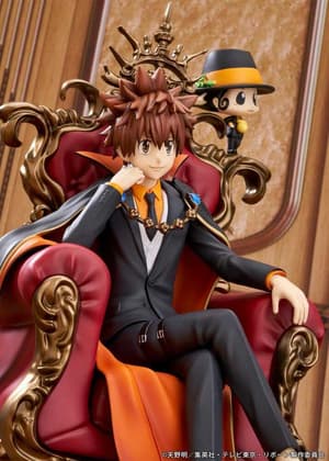Tsunayoshi Sawada & Reborn - Proof - 8