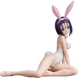 Haruna Sairenji - 1/4 B-Style Bunny - Bare Leg - FREEing (1)