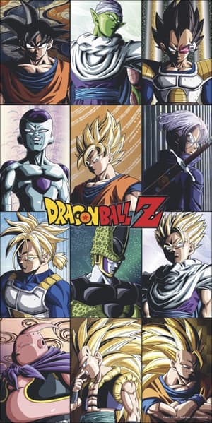 Dragon Ball Z Broschurkalender 2024 (1)