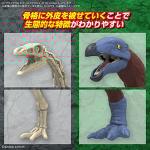 Therizinosaurus - Plannosaurus - Model Kit - Bandai Spirits (1)
