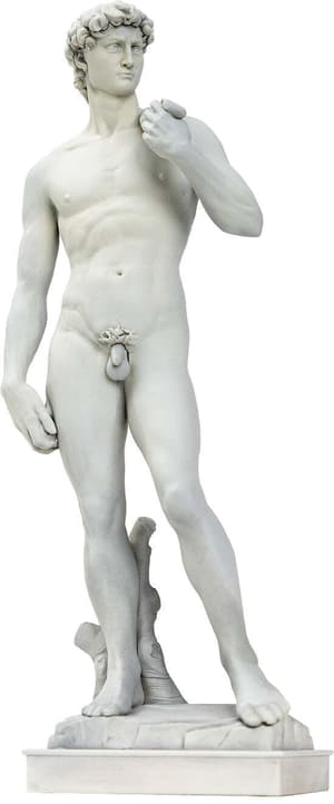 David - 1