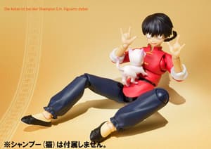 Ranma Saotome - männliche Form - S.H. Figuarts - 2