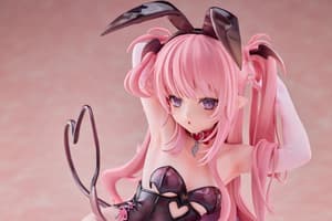 Succubus Rumuru (Tamano Kedama) - Deluxe Edition - Pure (5)