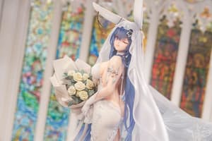 New Jersey - Snow Bride Love - Apex Innovation (11)