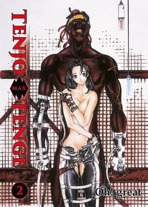 Tenjo Tenge Max - Panini - Band 1 + 2 - Starter-Spar-Pack - 2
