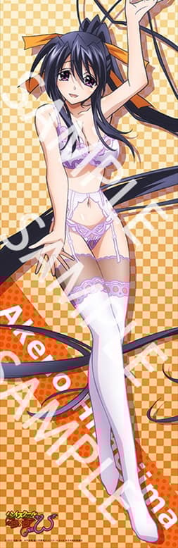 Akeno Himejima - transparentes Poster - 1