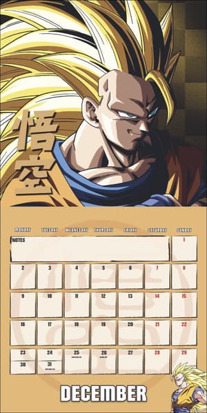 Dragon Ball Z Broschurkalender 2024 (1)