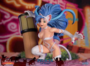 Felicia - 1/6 Resin Figur - First 4 Figures (13)