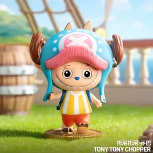 Zufällige Auswahl - Skullpanda (Everyday Wonderland Series) - Mini Figuren - Pop Mart (1)