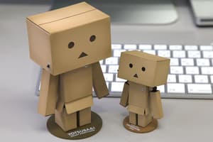 Danboard / Danbo / Kartobot - Revoltech Mini - 5