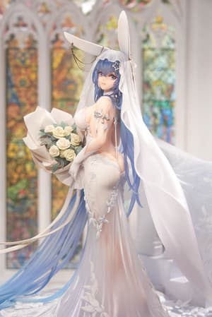 New Jersey - Snow Bride Love - Apex Innovation (8)