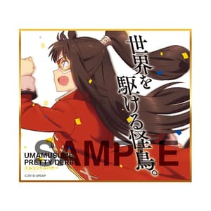 Zufällige Auswahl -Uma Musume Pretty Derby  - Mini-Shikishi - Produce 216 - 19
