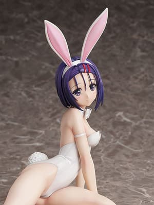 Haruna Sairenji - 1/4 B-Style Bunny - Bare Leg - FREEing (9)