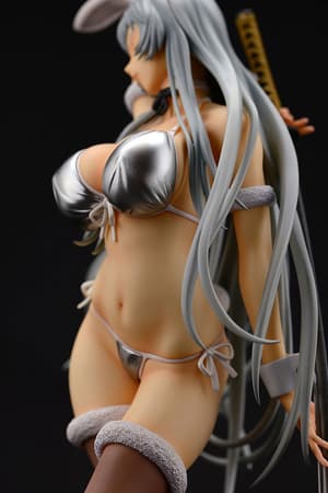 Chou'un Shiryu - Bunny Version - 16
