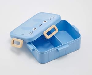 Ghibli - Totoro - Bento/ Lunch Box (1)