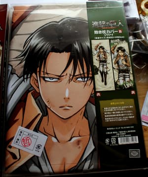 Levi Rivai - Dakimakura Bezug - 1