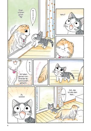 Kleine Katze Chi 5 - 1
