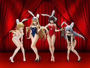 Houki Shinonono- 1/4 B-Style Bunny - Bare Leg - FREEing - 5