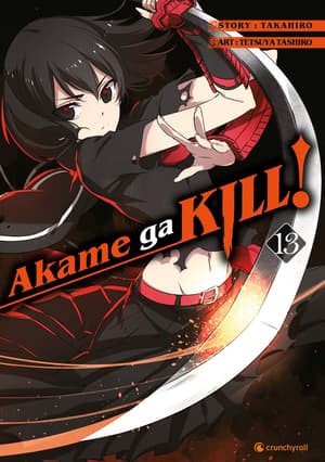 Akame ga KILL! - Crunchyroll - Band 13 - 1