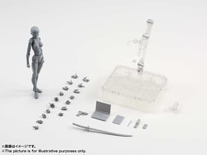 Body-chan DX Set Gray Color Ver. - 9
