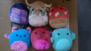 zufällige Auswahl Squishmallows - Plüsch Figur (20 cm) - Jazwares (3)