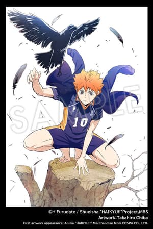 Hinata Shoyo - Crows - ARTFX J - Kotobukiya (2)