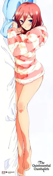 Miku_Dakimakura_Back.webp