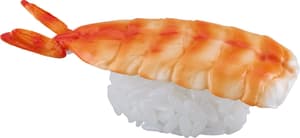 Shrimp Nigiri Sushi - 1/1 Model Kit - Syuto Seiko (1)