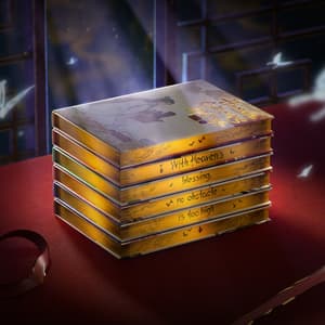Heaven Official's Blessing Sammler Box Set - 4