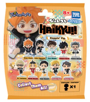 Haikyuu!! Hoppin Figures Random Selection - 1