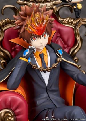 Tsunayoshi Sawada & Reborn - Proof - 3