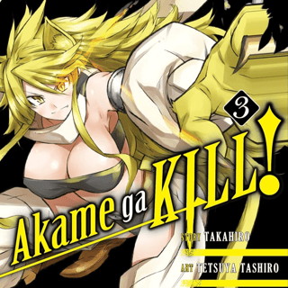 EN Akame ga Kill! - Yen Press - Vol. 3 english Edition
