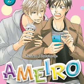 Ameiro paradox 2
