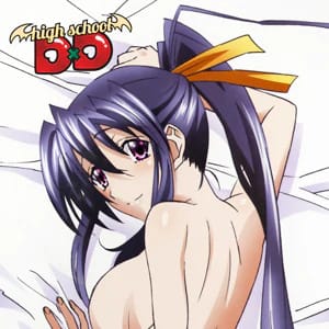 Akeno - Dakimakura