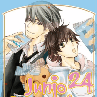 Junjo Romantica - Carlsen - Band 24