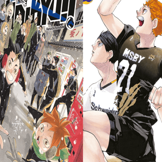 Haikyu!! Sammelbox 5 - Kaze - Band 45 mit Sammelschuber - Profil