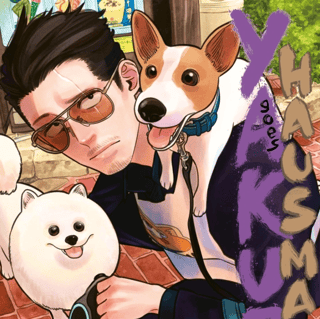 Yakuza goes Hausmann - Carlsen - Vol. 13