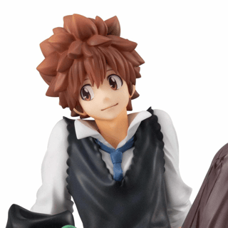 Sawada Tsunayoshi & Reborn - G.E.M. Palm Size / Tenohira - Megahouse