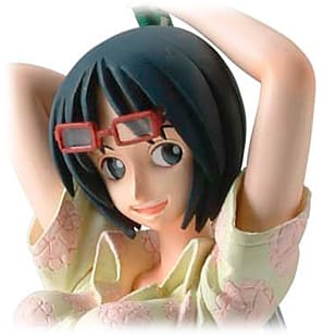 P.O.P NEO Tashigi - Profil