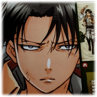 Levi Rivai - Dakimakura Bezug - Profil