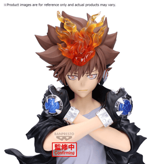Sawada Tsunayoshi - REBORN! - Grandista - Profil