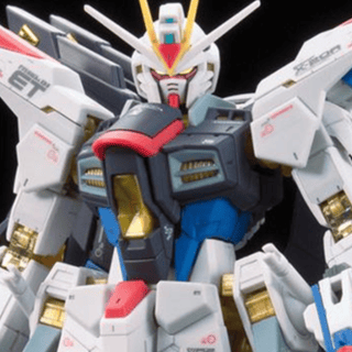 ZGMF-X20 A Strike Freedom Gundam - Mobile Suit Gundam SEED Destiny - RG 1/144 - Model Kit - Bandai Spirits - Profil