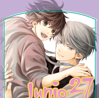 Junjo Romantica - Carlsen - Band 27 - Profil