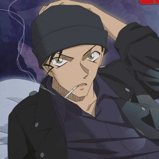 Amuro & Akai - Kissen - Sakami (35 x 35 cm)