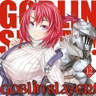 Goblin Slayer! Light Novel - Altraverse - Band 012